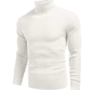 Full Sleeve High Neck Sweater